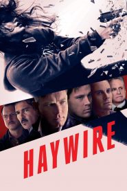 Haywire (2011) เธอแรง หยุดโลก