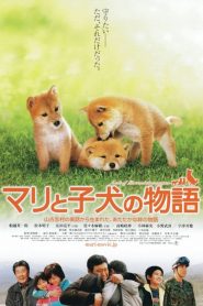 Mari to koinu no monogatari (2007) เพื่อนซื่อ ชื่อ มาริ
