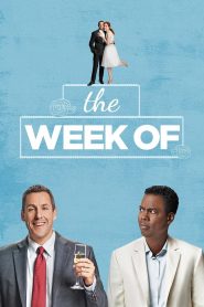 The Week Of (2018) สัปดาห์ป่วน ก่อนวิวาห์