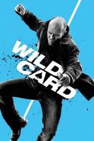 Wild card (2015) มือฆ่าเอโพดำ