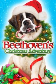 Beethoven s Christmas Adventure (2011) บีโธเฟน ยอดคุณหมากู้คริสต์มาส