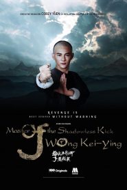 Master of the Shadowless Kick Wong Kei-Ying (2017) หวง ฉี อิง บาทาไร้เงา