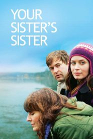 Your Sister’s Sister (2011) รักพี่หัวใจน้อง